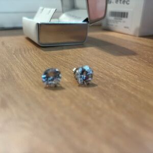 Elegant Silver Stud Earrings